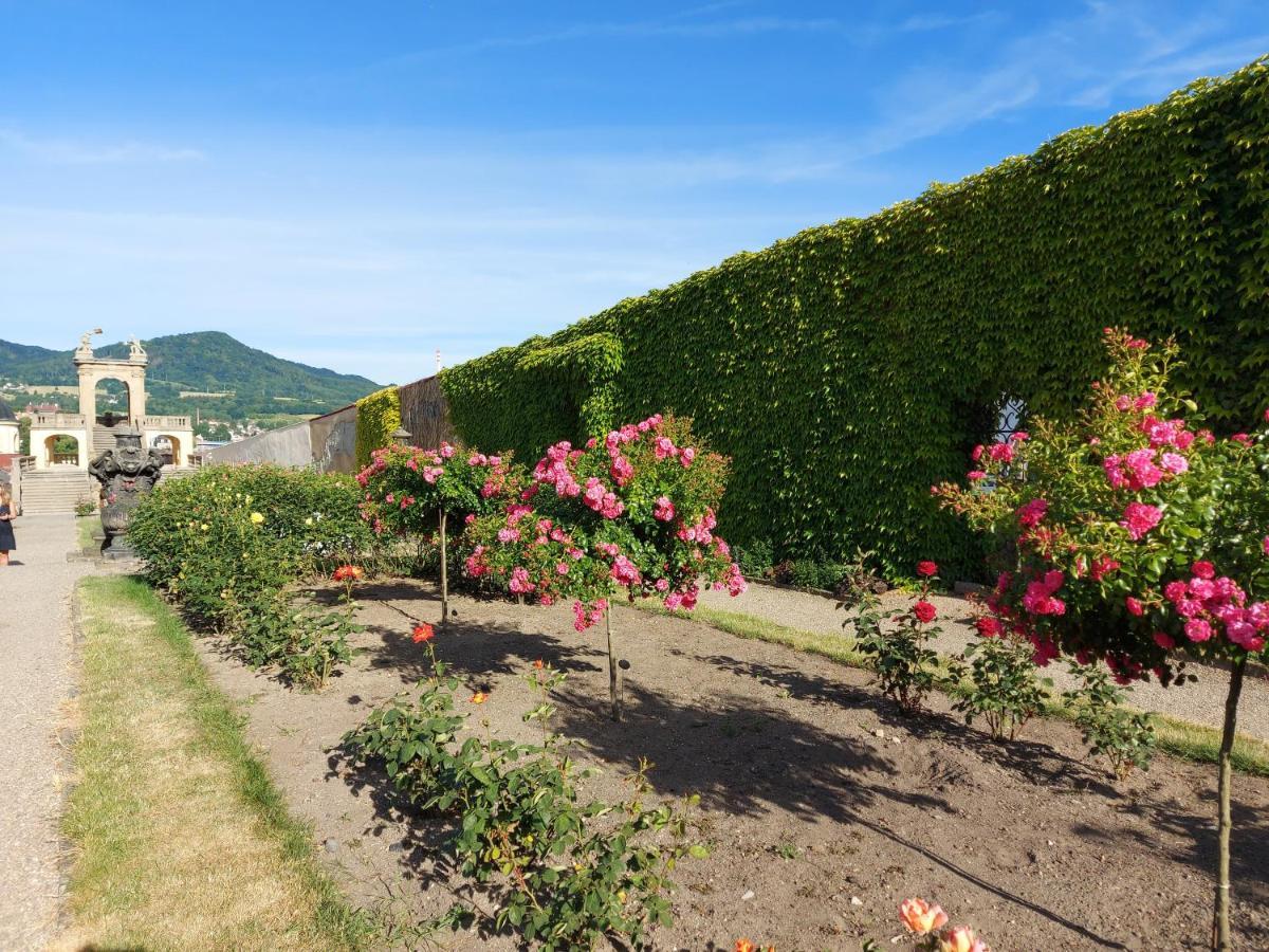 Apartments Rose Garden 德辛 外观 照片