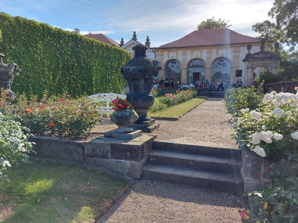 Apartments Rose Garden 德辛 外观 照片